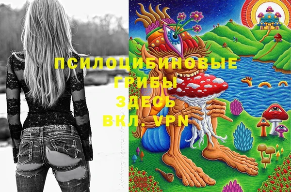 экстази Белокуриха